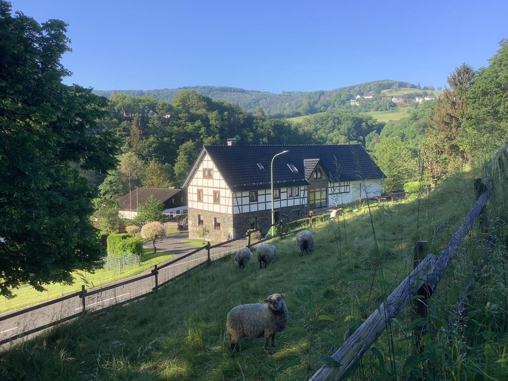 Berg Blick Eifler Bauernhaus Modern Restauriert Simmerath Exterior foto